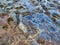 Sandstone Rock Pools, Bondi Beach, Australia