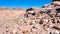 Sandstone rocks in desert landscape in Petra town