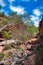 Sandstone rocks and desert vegetation along a trail in Kalbarri National Park, Western Australia