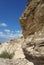 Sandstone sediment layered cliff with a green plant