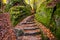 Sandstone staircase in autumnal forest