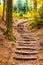 Sandstone staircase in autumnal forest