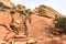 Sandstone Steps in Red Rock Canyon