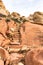 Sandstone Steps in Red Rock Canyon