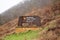 Sandstone Visitor Center for New River Gorge National River Park Preserve against foggy hillside