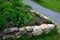 Sandstone walls and stones in a flowerbed in a terraced terrain with stairs. flowering rock gardens and stairs with a gravel surfa