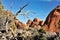 Sandstones in Arches National Park, Utah, USA