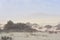 Sandstorm in the  Corralejo dunes, Fuerteventura, Canary islands, Spain