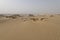 A sandstorm giving a mysterious atmosphere to the already bizarre landscapes of the White Desert National Park