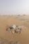 A sandstorm giving a mysterious atmosphere to the already bizarre landscapes of the White Desert National Park in Egypt