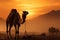 Sandstorm at sundown, a camel endures the deserts fiery embrace
