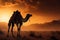 Sandstorm at sundown, a camel endures the deserts fiery embrace