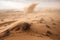 sandstorm wreaking havoc on desert landscape, with debris flying through the air