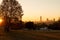 Sandton skyline at sunrise with trees and park with sun shining through the tree