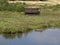 Sandwell Valley RSPB reserve