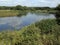 Sandwell Valley RSPB reserve