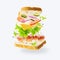 Sandwich with bacon, fresh vegetables, cheese and herbs. Bright colors. Levitation. White background. No people. There is an empty
