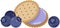 Sandwich biscuit with blueberry cream