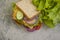 Sandwich with cheese, sausage,  snack freshness  tomato, lettuce, blue onion on old background