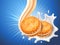 Sandwich cookies with delicious vanilla cream flow. Cracker drop in milk splash. Blue background with glowing effect and