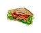 Sandwich fast food from a splash of watercolor
