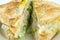 Sandwich full of tuna and lettuce vegetables sliced in half and decorated on the plate - Super Closeup.