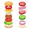 Sandwich Ingredients Food Vector Illustration