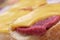 Sandwich with meat and cheese on the colorful background