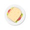 Sandwich on plate top view. Slice of bread with cheese  tomato  salad  ham. Template for web design  brochure printing  food