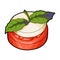 Sandwich vegetarian cuisine.Hamburger tomato and cheese with a leaf of mint.Vegetarian Dishes single icon in cartoon