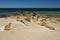 Sandwitch boardwalk beach at Cape Cod Massachusetts