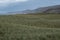 Sandwood Bay, Highlands of Scotland. Remote bay with white sand, dunes and reeds. Can only be reached on foot.