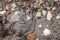 Sandworm hole on a Danish beach