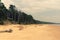 Sandy Baltic coast with pine dunes