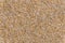 Sandy beach background macro sand texture