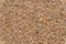 Sandy beach background macro sand texture