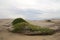 Sandy beach on the Bahia Magdalena coast, Baja California Sur, Mexico