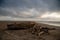 Sandy beach in Barranquilla at sunset time. Colombia.