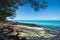 Sandy beach on Bimini framed with trees