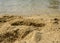 A sandy beach with blurry ocean at the background.