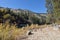 Sandy Beach, Bushes, Rocks, Payette River, Hills, Idaho