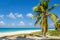 Sandy beach with coconut palm tree, Caribbean