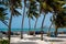 Sandy beach and coconut trees on the Island of San AndrÃ©s where the tourist area can be seen in the background. Colombia.