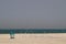 Sandy beach in Dubai. Garbage and seagulls on the shore.  United Arab Emirates.