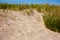 Sandy beach dune on a green grass line