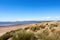 Sandy beach and dunes with Marram Grass, aka Beachgrass. Ammophila arenaria. Coastal habitat, Instow, north Devon