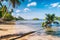 Sandy Beach with fallen palm tree on corong beach, El Nido, Palawan, Philippines