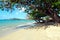 Sandy beach with fine sand and azure blue sea visible under a branch of leafy tree on the coast of the Caribbean island.