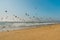 Sandy beach and flock of birds, pelicans and seagulls, beautiful California coastline