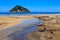 Sandy beach with an island just offshore. Anaura Bay, New Zealand